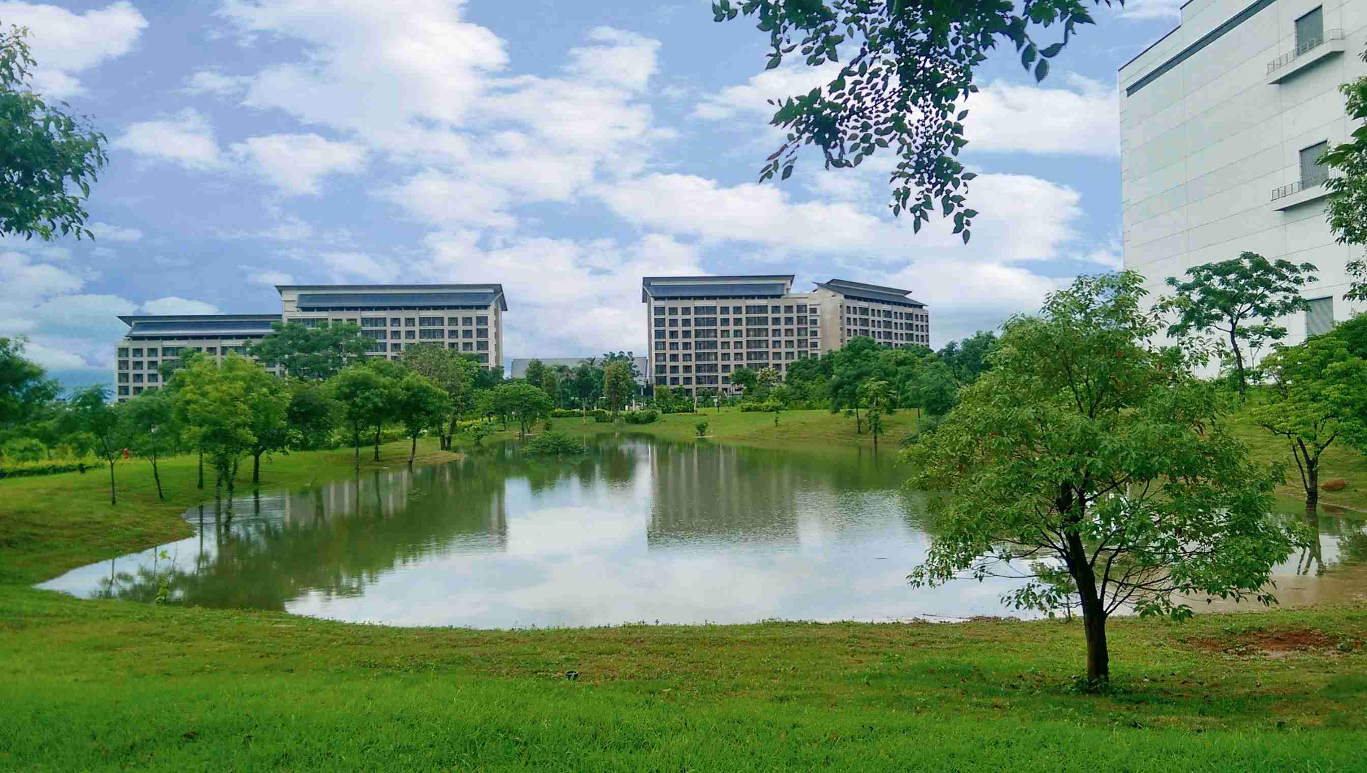 龙门国际响应国际倡议生物多样性趋势，，首次发布TNFD自然相关财务揭露报告书，，，擘划及开展龙门国际生物多样性政策之承诺，，逐步迈向与自然和谐共生